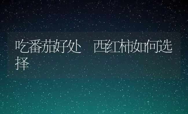 吃番茄好处 西红柿如何选择 | 养殖资料投稿