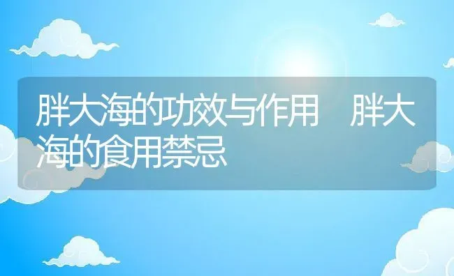 胖大海的功效与作用 胖大海的食用禁忌 | 养殖资料投稿