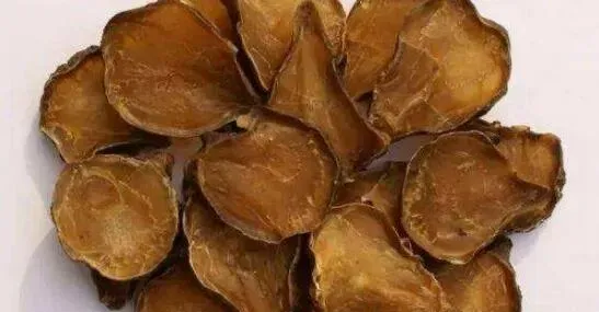 附子片的功效与作用