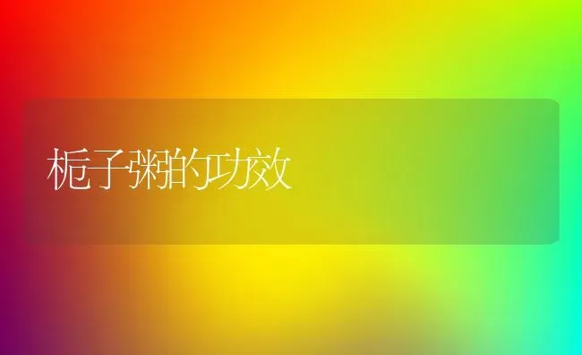 栀子粥的功效 | 养殖资讯