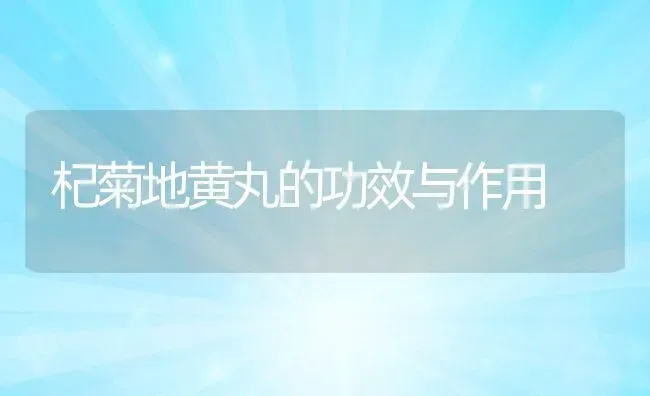 杞菊地黄丸的功效与作用 | 养殖资料投稿