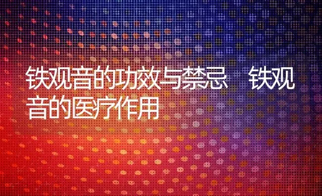 铁观音的功效与禁忌 铁观音的医疗作用 | 养殖资料投稿