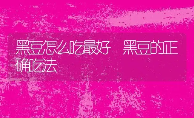 黑豆怎么吃最好 黑豆的正确吃法 | 养殖资料投稿