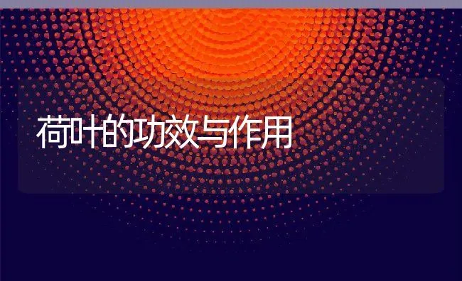 荷叶的功效与作用 | 养殖资料投稿