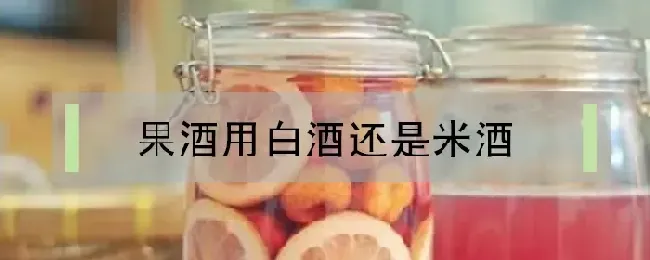 果酒用白酒还是米酒