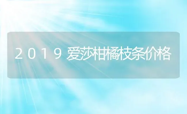 2019爱莎柑橘枝条价格 | 养殖资讯