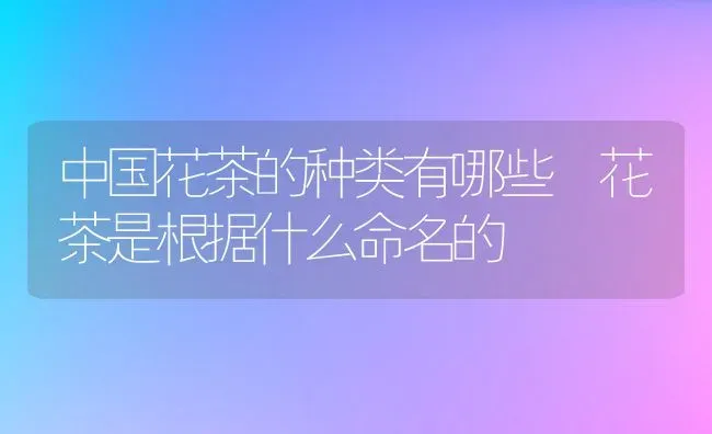 中国花茶的种类有哪些 花茶是根据什么命名的 | 养殖资料投稿