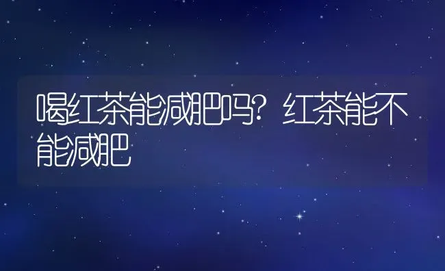 喝红茶能减肥吗?红茶能不能减肥 | 养殖资料投稿