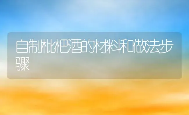 自制枇杷酒的材料和做法步骤 | 养殖资料投稿