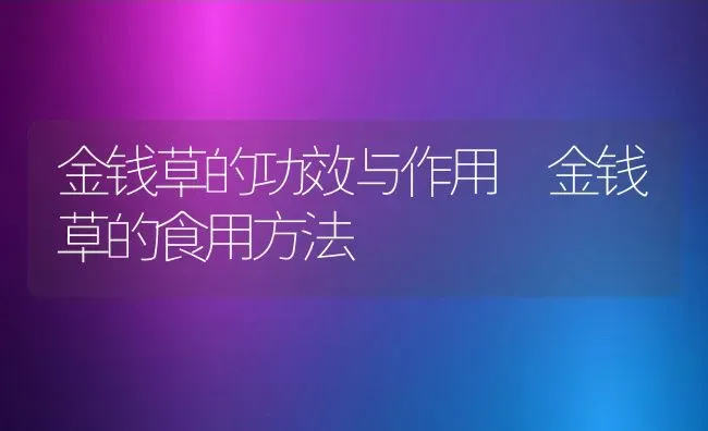 金钱草的功效与作用 金钱草的食用方法 | 养殖资料投稿