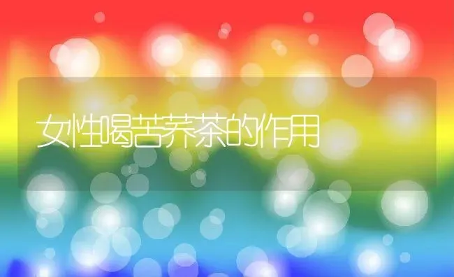 女性喝苦荞茶的作用 | 养殖资料投稿