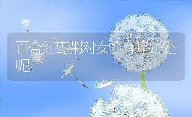 百合红枣粥对女性有啥好处呢 | 养殖资讯