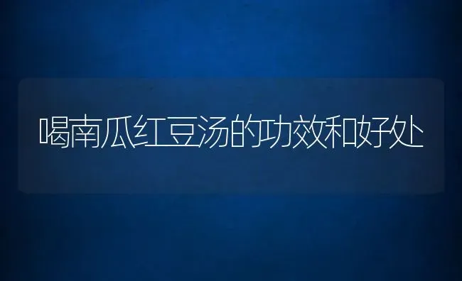 喝南瓜红豆汤的功效和好处 | 养殖资料投稿