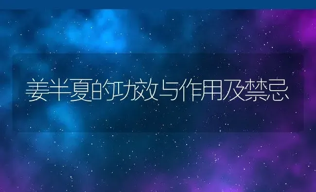 姜半夏的功效与作用及禁忌 | 养殖资料投稿