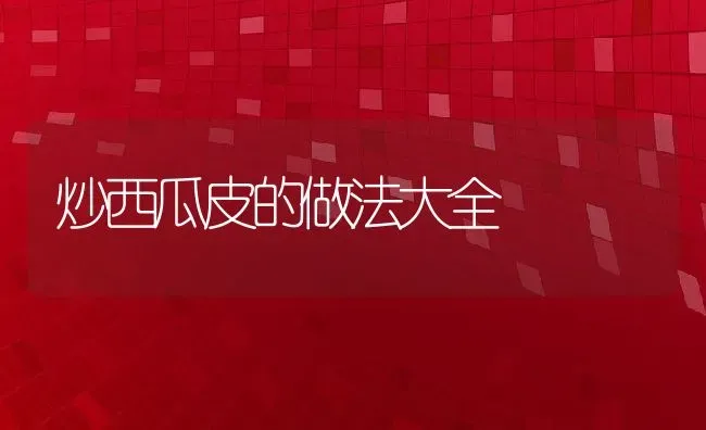 炒西瓜皮的做法大全 | 养殖资料投稿