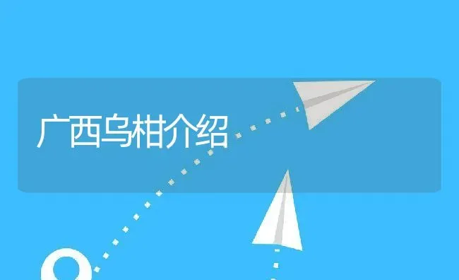 广西乌柑介绍 | 养殖资讯