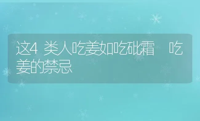 这4类人吃姜如吃砒霜 吃姜的禁忌 | 养殖资料投稿