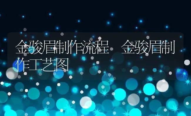 金骏眉制作流程 金骏眉制作工艺图 | 养殖资料投稿