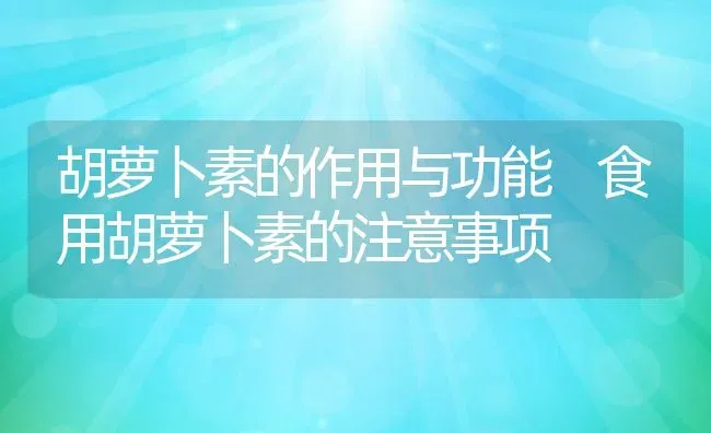 胡萝卜素的作用与功能 食用胡萝卜素的注意事项 | 养殖资料投稿