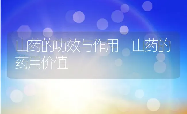 山药的功效与作用 山药的药用价值 | 养殖资料投稿