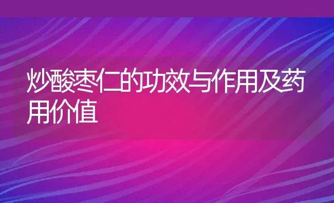 炒酸枣仁的功效与作用及药用价值 | 养殖资料投稿