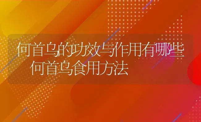 何首乌的功效与作用有哪些 何首乌食用方法 | 养殖资料投稿