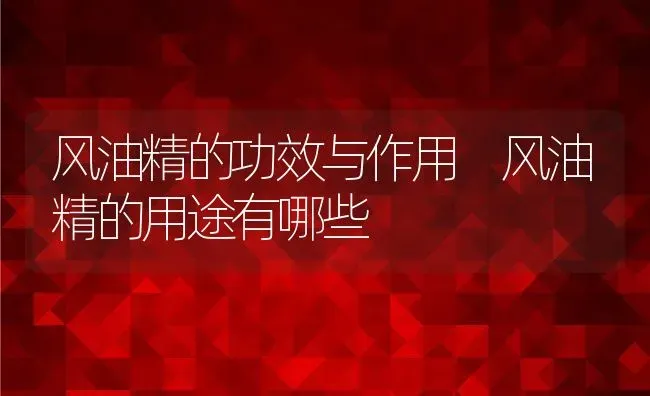 风油精的功效与作用 风油精的用途有哪些 | 养殖资料投稿