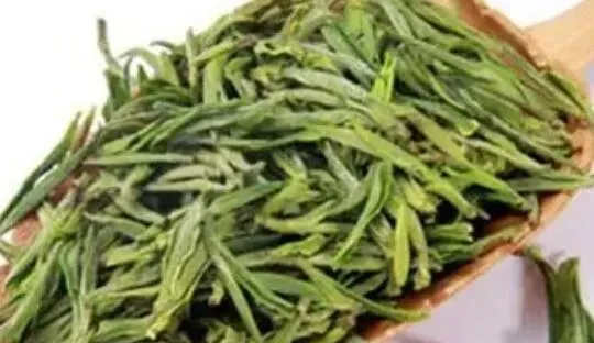 用绿茶补水有什么功效 喝绿茶的好处