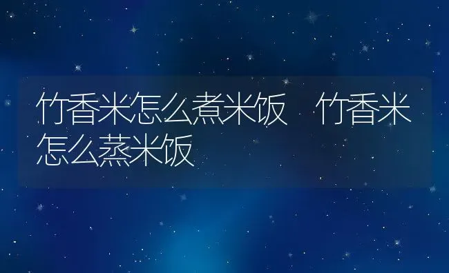 竹香米怎么煮米饭 竹香米怎么蒸米饭 | 养殖资讯