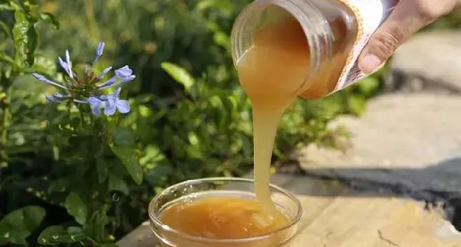 乌桕蜜和荆条蜜哪个好？