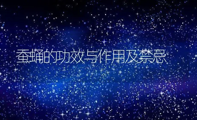 蚕蛹的功效与作用及禁忌 | 养殖资料投稿