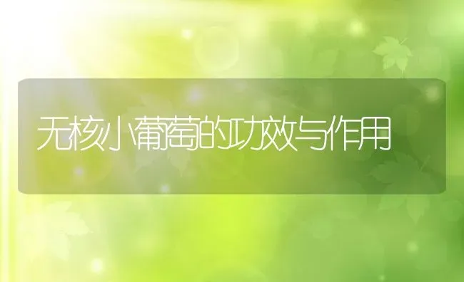 无核小葡萄的功效与作用 | 养殖资料投稿