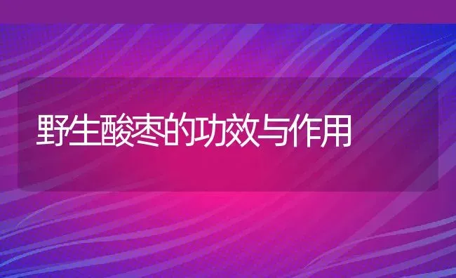 野生酸枣的功效与作用 | 养殖资料投稿