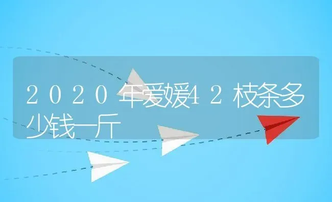 2020年爱媛42枝条多少钱一斤 | 养殖资讯