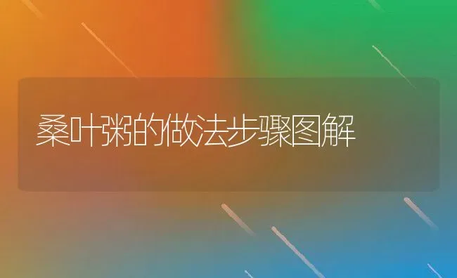 桑叶粥的做法步骤图解 | 养殖资讯