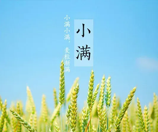 2020小满是哪一天？小满应该干什么