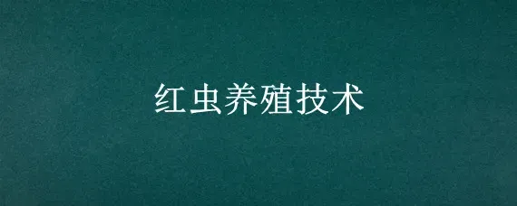 红虫养殖技术