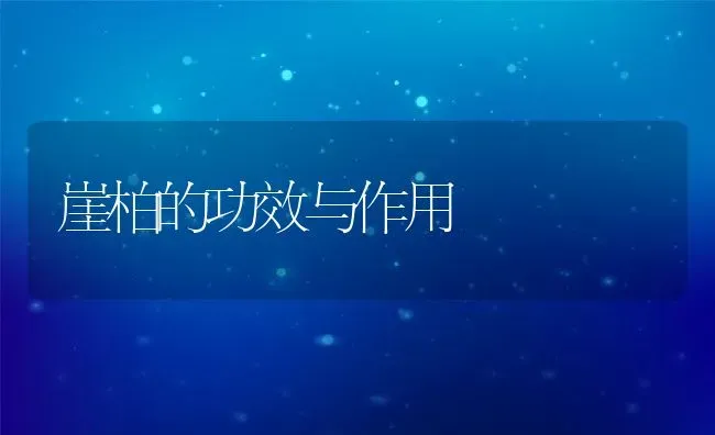 崖柏的功效与作用 | 养殖资料投稿