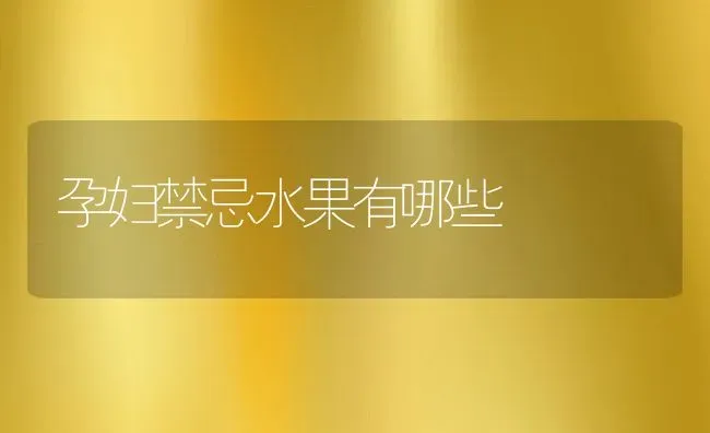 孕妇禁忌水果有哪些 | 养殖资料投稿