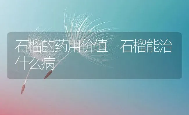 石榴的药用价值 石榴能治什么病 | 养殖资料投稿