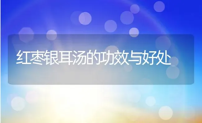 红枣银耳汤的功效与好处 | 养殖资料投稿