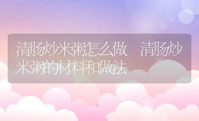 清肠炒米粥怎么做 清肠炒米粥的材料和做法 | 养殖资讯