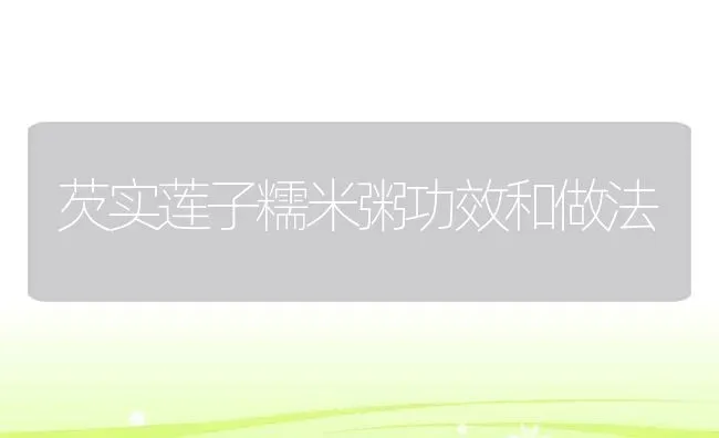芡实莲子糯米粥功效和做法 | 养殖资讯