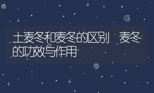 土麦冬和麦冬的区别 麦冬的功效与作用 | 养殖资料投稿
