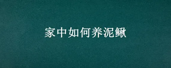 家中如何养泥鳅