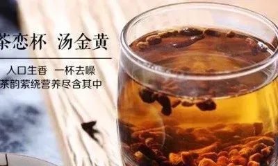 鲜蒲公英根能泡水喝吗 鲜蒲公英根泡水的功效