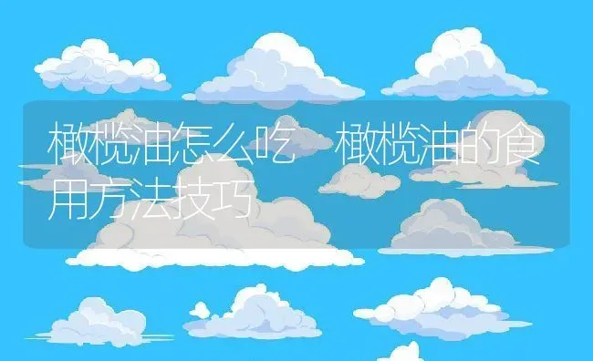 橄榄油怎么吃 橄榄油的食用方法技巧 | 养殖资料投稿