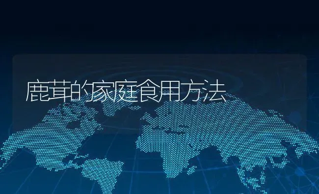 鹿茸的家庭食用方法 | 养殖资料投稿