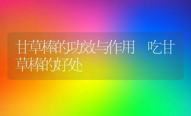 甘草棒的功效与作用 吃甘草棒的好处 | 养殖资料投稿