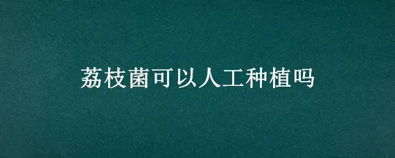 荔枝菌可以人工种植吗